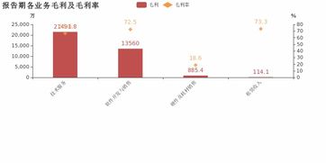 博思軟件歸母凈利潤增速56.1%創5年新高，技術服務業務成利潤增長核心引擎